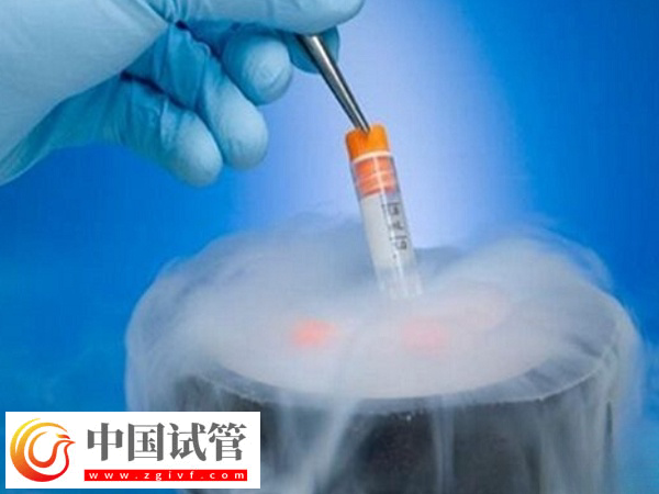 泰國冷凍胚胎保存多久(圖1)