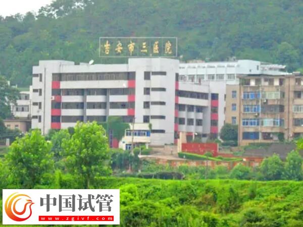 吉安市第三人民醫院二代試管穿刺取精的成功率高嗎？(圖1)