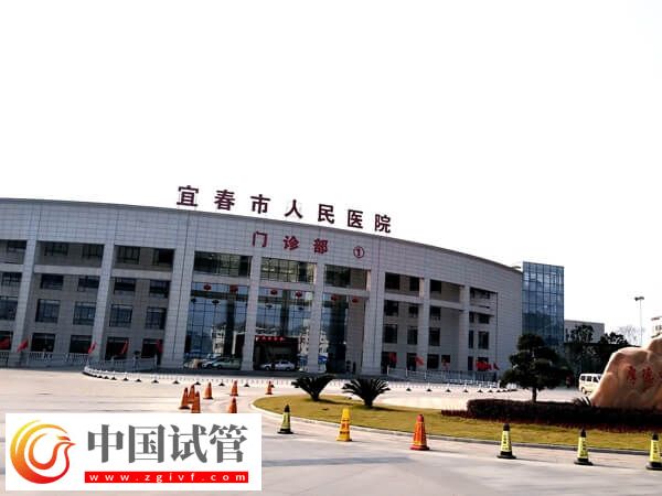 在宜春市人民醫院做一代試管嬰兒單周期費用多少？(圖1)