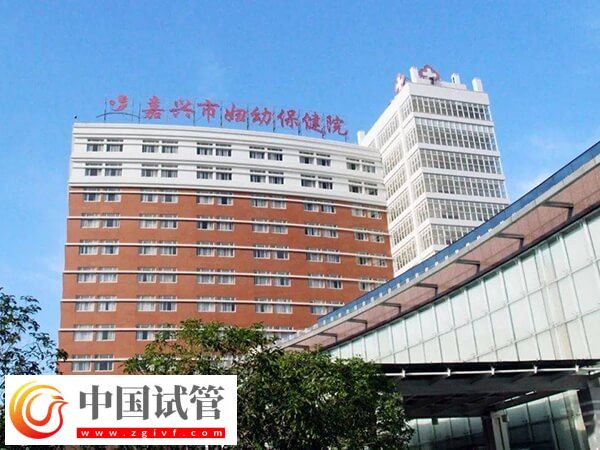 嘉興市婦幼保健院做試管嬰兒單囊胚移植成功率有多高？(圖1)
