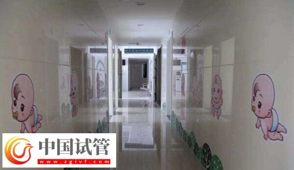 湖州試管嬰兒醫院成功率排名比較好的有哪些？(圖1)
