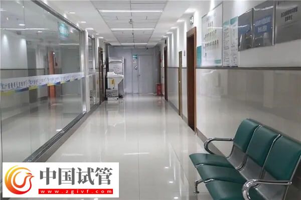 衢州本地醫院做一次三代試管嬰兒費用大約多少？(圖1)