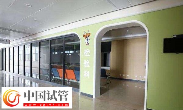 衢州婦保院陳潔瑛和方玉醫生哪個助孕成功率更高？(圖1)