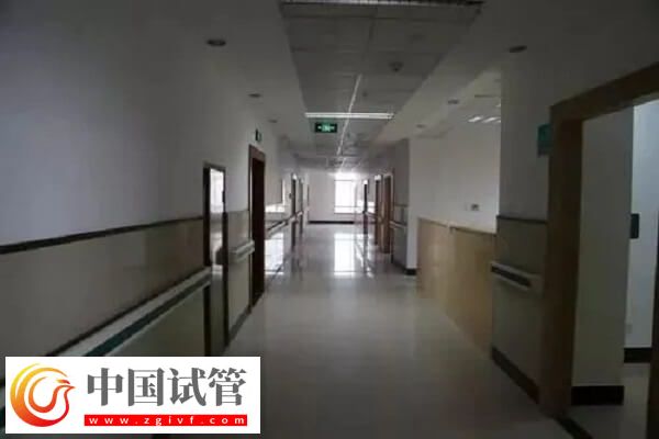 衢州公立試管醫(yī)院中成功率排名第一的是哪家？(圖1)