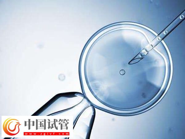 莆田附屬醫院二代試管嬰兒成功率如何？(圖1)