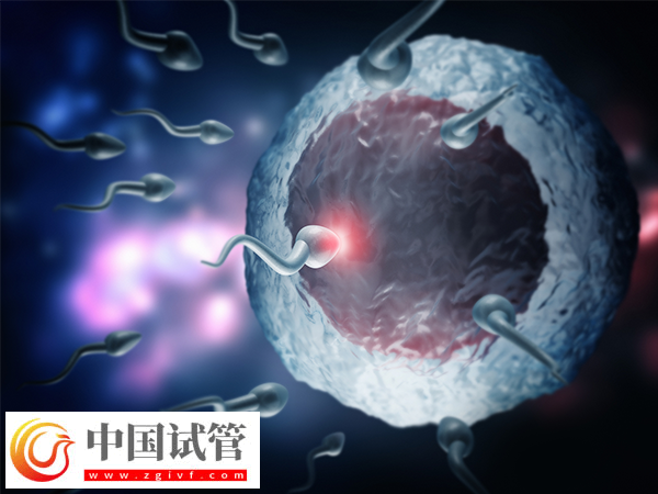 胚胎質量不良會怎么樣(圖1)