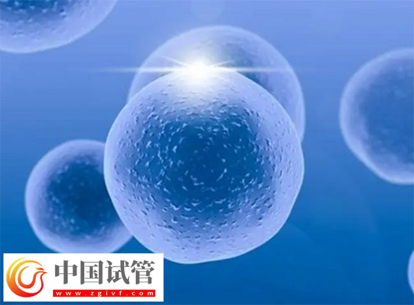 北京試管醫(yī)院有哪些(圖1) 北京試管醫(yī)院有哪些(圖1)