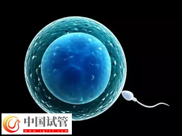 北京試管醫(yī)院有哪些(圖4) 北京試管醫(yī)院有哪些(圖4)