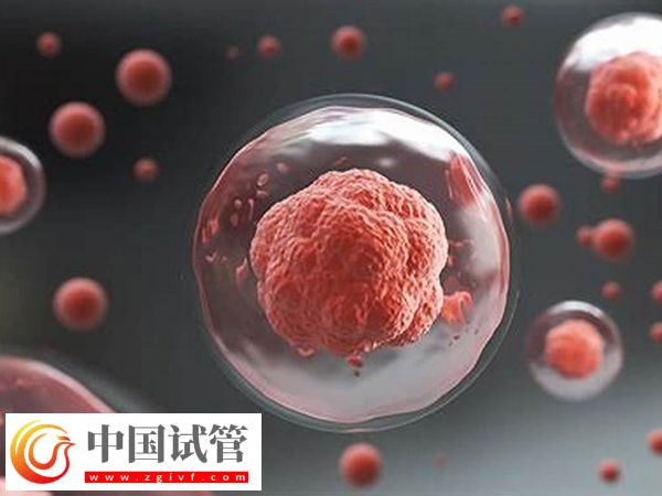 美國試管嬰兒大概要多少錢(圖3)