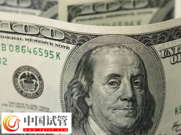 美國試管嬰兒大概要多少錢(圖1)