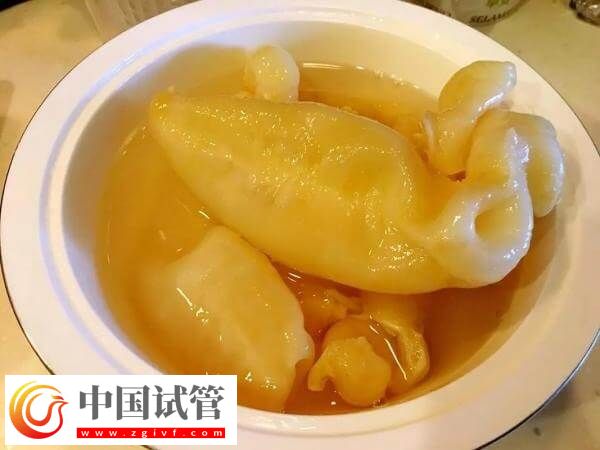 取卵后吃花膠好不好(圖1)