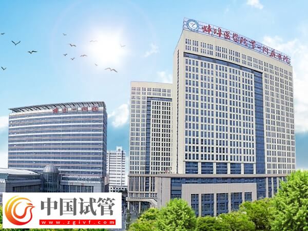 蚌醫一附院做一次一代試管嬰兒準備5萬元夠不夠？(圖1)