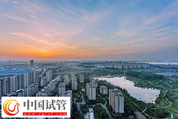 滁州能供卵的機構有哪幾家？(圖1)