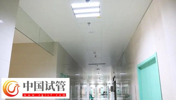 六安中醫院生殖科人工授精成功率怎么樣？十個成功幾個？(圖1)