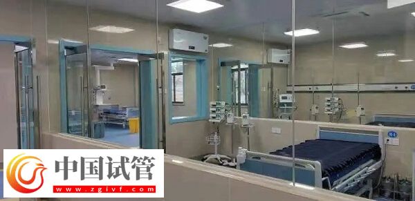 銅陵有沒有做供卵試管不用排隊的醫院？(圖1)