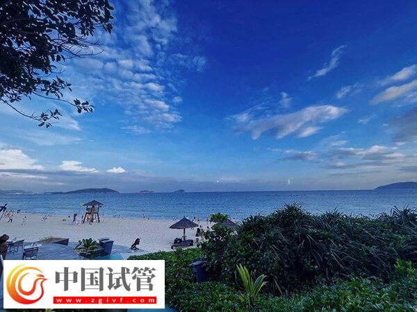 海南三亞供卵試管嬰兒費(fèi)用大約多少錢?(圖1) 海南三亞供卵試管嬰兒費(fèi)用大約多少錢?(圖1)