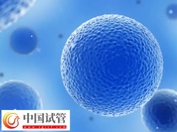 吉林市中心醫院試管嬰兒單個胚胎移植成功率怎么樣？(圖1)