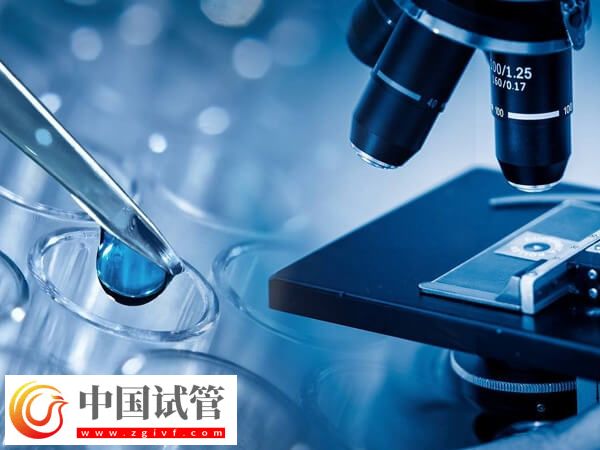 試管可不可以移植兩個胚胎？(圖2)