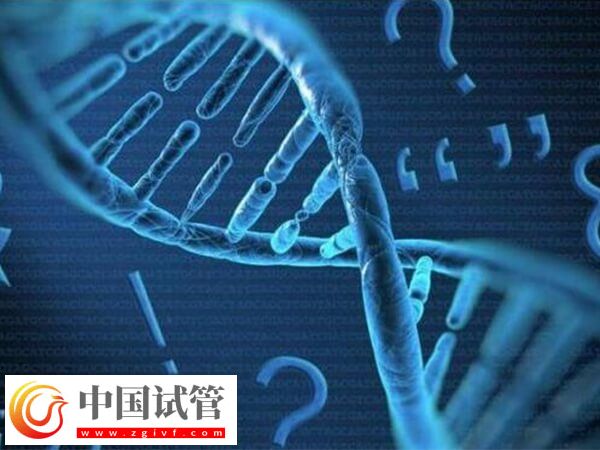 白山有沒有能做無創(chuàng)親子鑒定的醫(yī)院?(圖1) 白山有沒有能做無創(chuàng)親子鑒定的醫(yī)院?(圖1)