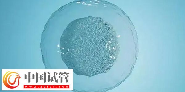 延吉市中醫醫院供精試管嬰兒成功率怎么樣？(圖1)