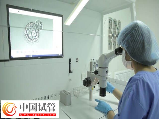 試管移植優胚為什么會出現空囊(圖1)