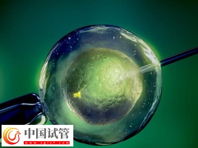 試管移植1個還是2個好(圖2)