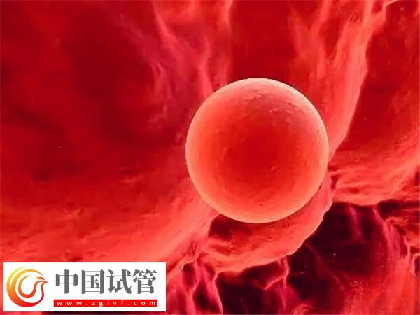 臀位看男女方法確實坑人，當心胎位不正小事變大事(圖1)