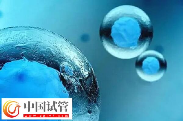 5天囊胚和3天鮮胚有哪些區(qū)別(圖1)