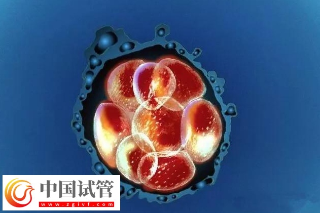 國內哪里可以未婚做三代試管嬰兒生子？(圖1)