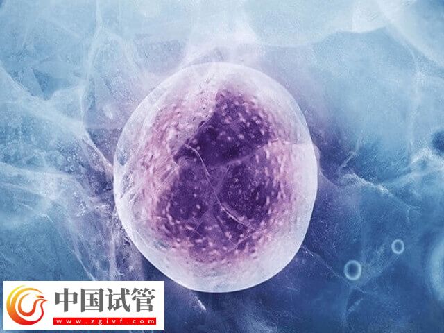 11個囊胚為什么都要冷凍(圖2)
