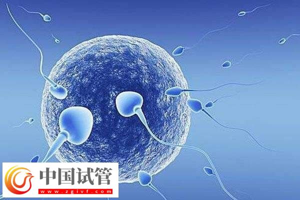 囊胚第9天試紙多深正常(圖2)