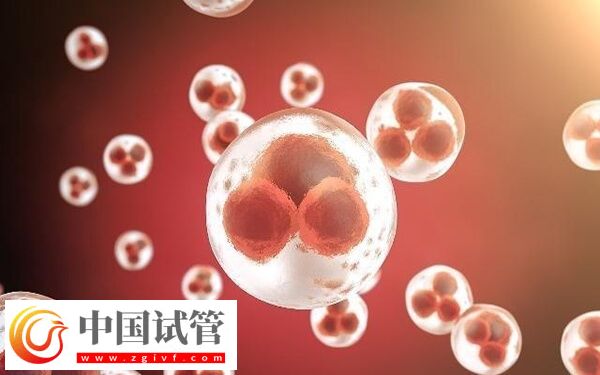 為什么打了促排針卵泡還長這么慢(圖2)