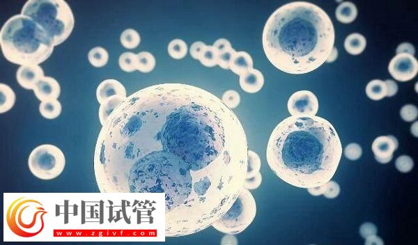 精子活力低做試管怎么辦(圖1)