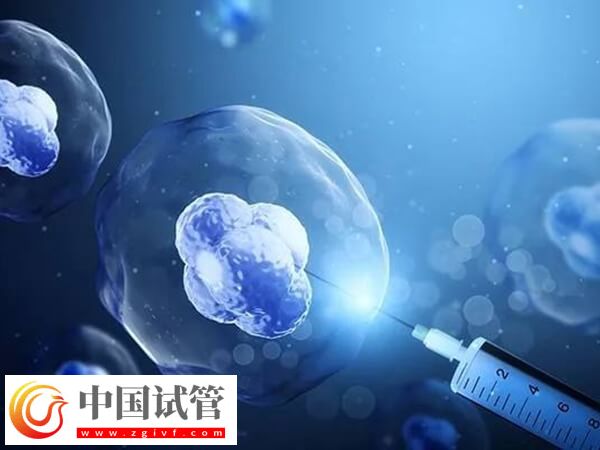 高齡做試管嬰兒怎么調理身體(圖1)