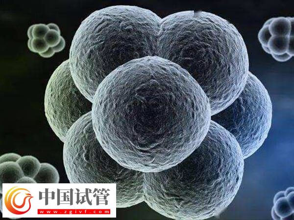 試管移植后有褐色血是不是生化了(圖2)