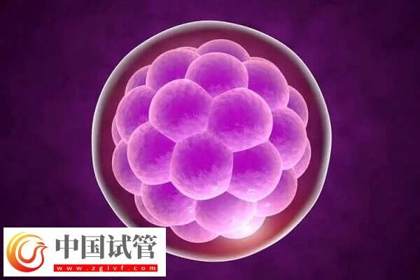 二代試管嬰兒費用要多少(圖2) 二代試管嬰兒費用要多少(圖2)