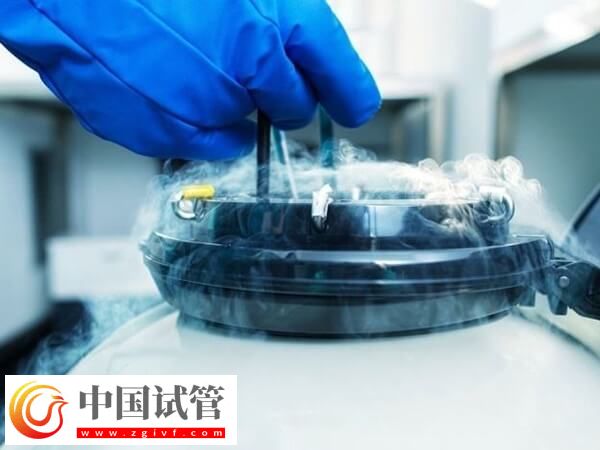 凍胚移植后孕酮雌二醇都正常懷孕率多高(圖2)