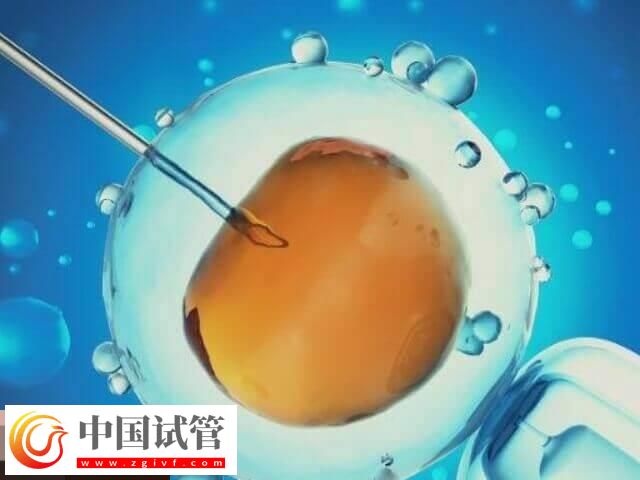 做試管月經不規律的移植方案分享，激素替代周期為其一(圖1)