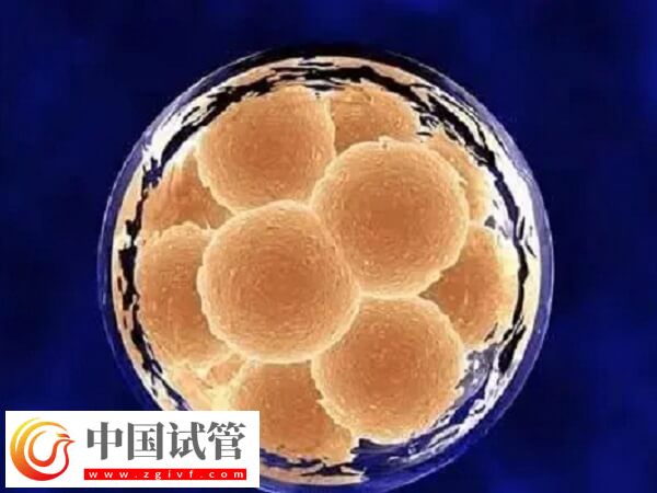 試管囊胚4cb和3ab哪個(gè)好一點(diǎn)(圖2)