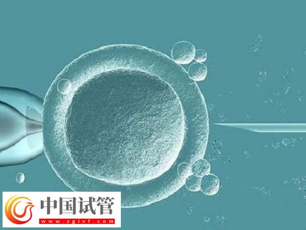 試管囊胚4cb和3ab哪個(gè)好一點(diǎn)(圖1)