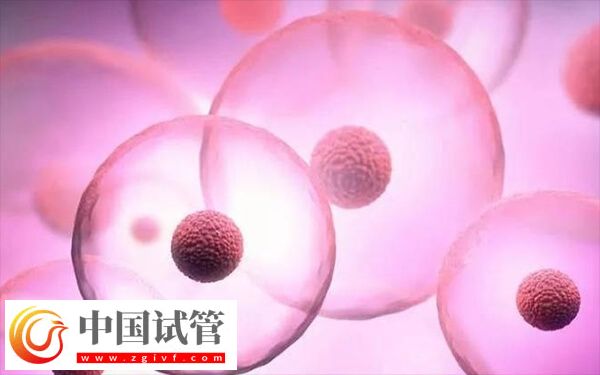 成都做試管嬰兒哪家好(圖1)