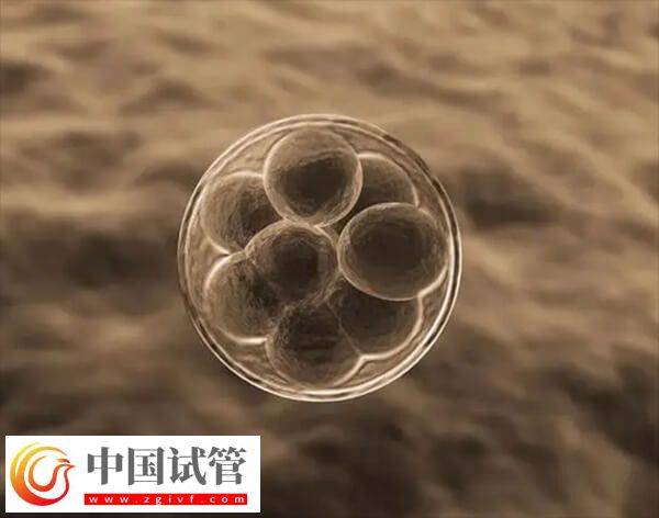 試管移植后雌二醇高孕酮低會不會影響著床(圖1)