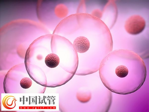 南寧試管嬰兒費用大概要多少錢(圖1)