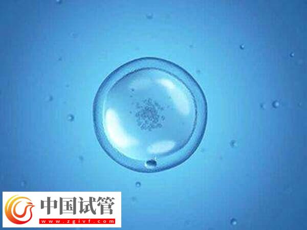 寧波不育不孕醫院有哪些(圖1)