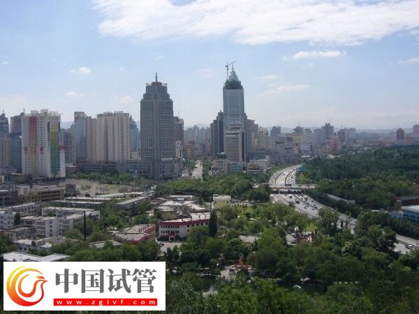 烏魯木齊試管嬰兒醫(yī)院有哪些(圖1) 烏魯木齊試管嬰兒醫(yī)院有哪些(圖1)