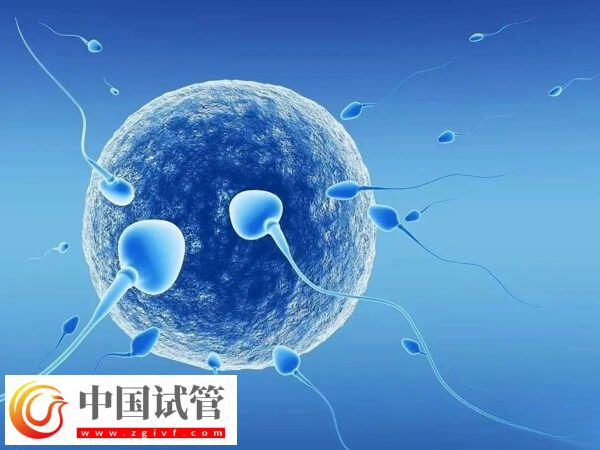 1-2個卵泡可不可以做試管(圖1)