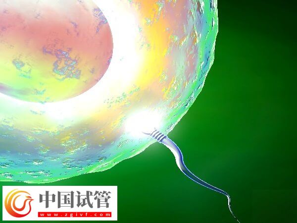 53歲高齡女性做試管嬰兒(圖1)