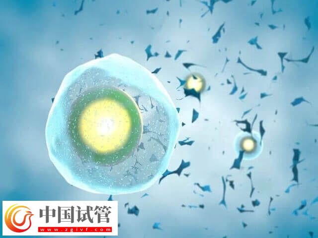 試管不成功可不可以退錢 試管嬰兒費用(圖1)