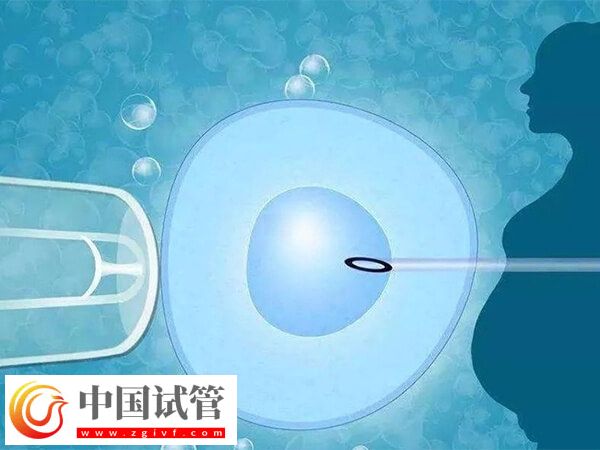 年齡大五個卵泡做幾代試管(圖2)