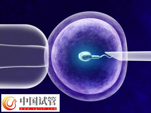 上海九院試管流程是什么(圖1)